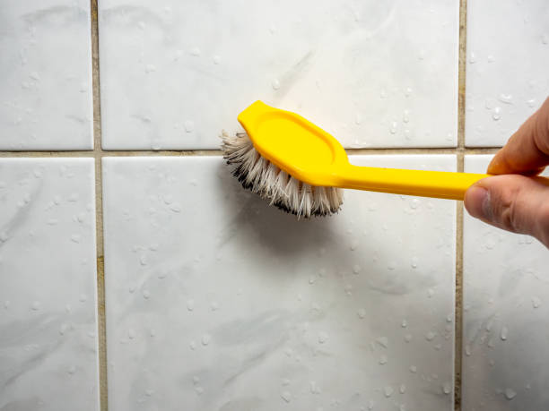 Best Mold Testing  in Crisfield, MD