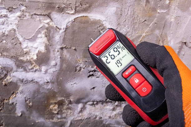 Best Mold Testing and Removal  in Crisfield, MD